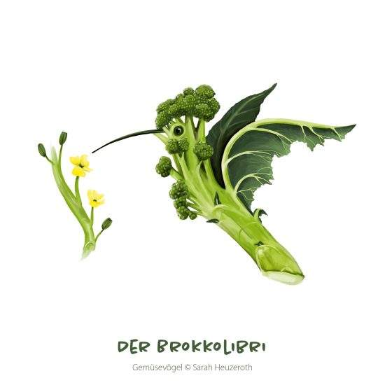 Gemüsevogel Brokkolibri